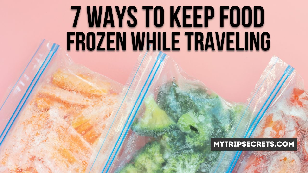 7 Ways To Keep Frozen Food Frozen While Travelling