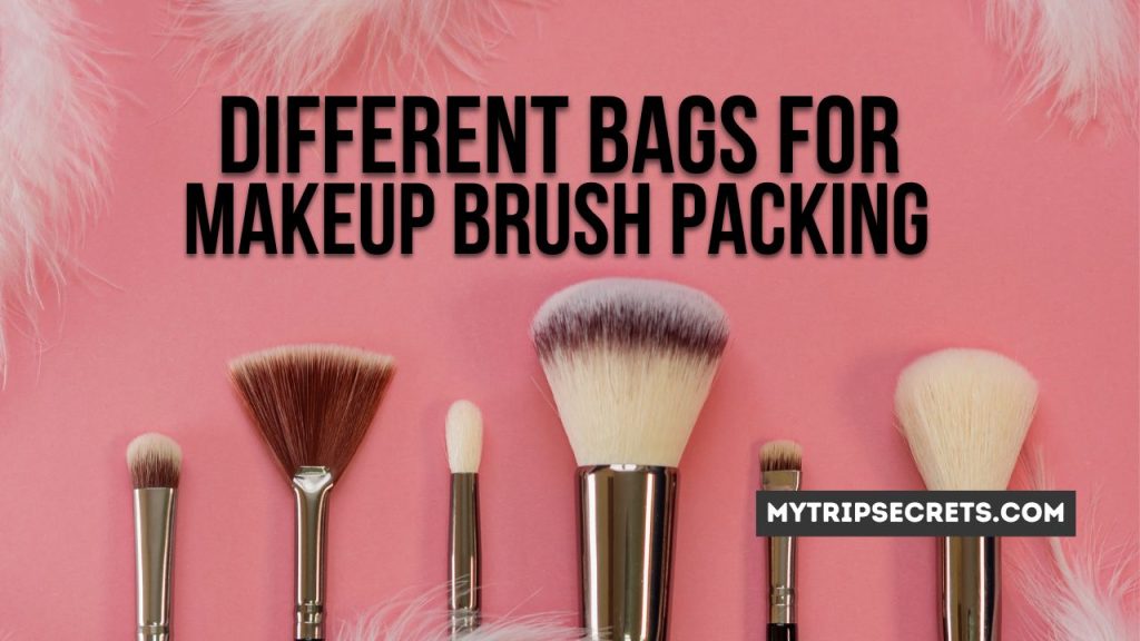 Different Bags for Makeup Brush Packing