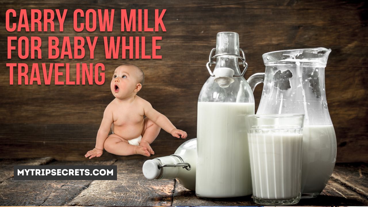 How to Carry Cow Milk for Baby While Travelling