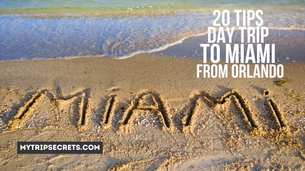 20 Things To Do In Day Trip to Miami from Orlando